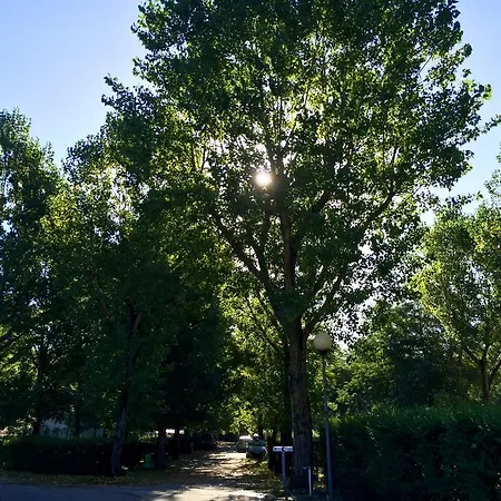 Campsite Camping Pierrageai Saint-Felicien